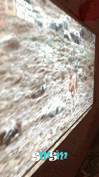 قدّمنا اليوم لأطفالنا في الروضة فيلماً قصيراً عن الحيوانات البرية والم...