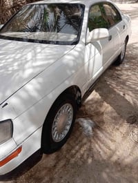 بطه • مراوس • سوق الشيوخ