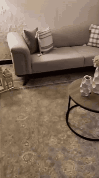 تخم • ميز بلازمة 100 • بي مجال