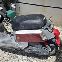 بوليسي • أصلي • معرض