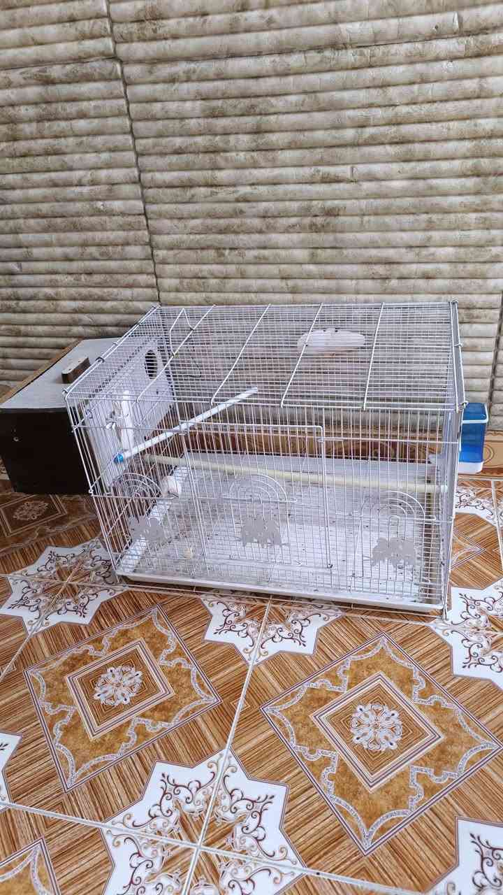 السلام عليكم.. قفاص للبيع كلش نضيفات استخدام قليل وهذا رقمي ***********
