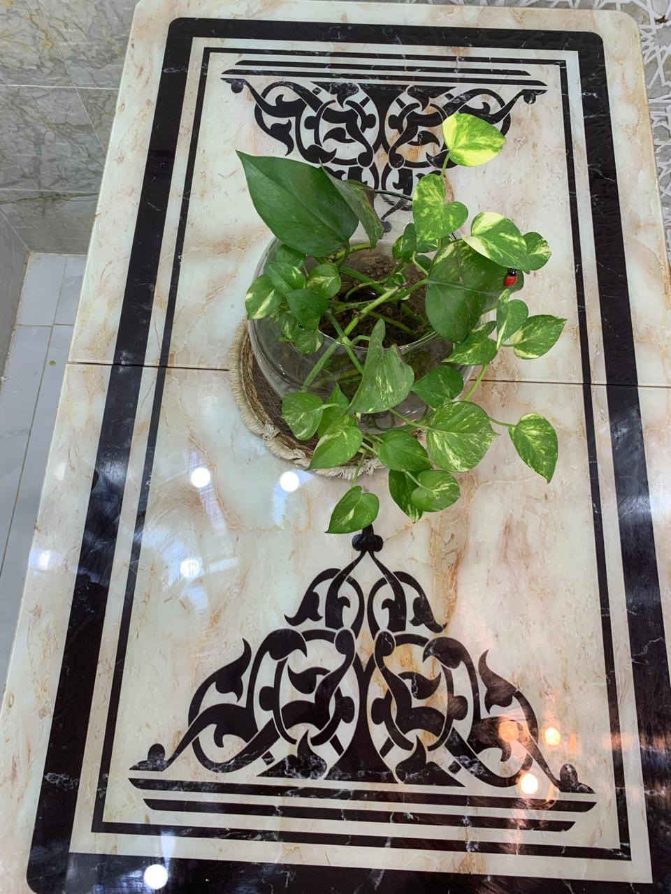 للبيع ميز طعام بلول يتكبر ويتصغر مع 6 كراسي

السعر 75 الف

المكان حي الفلاح الثانية


**إذا كنت صاحب هذا الإعلان وتريد حذفه لأي سبب، رجاءا أرسل رسالة إلى الدعم الفني**