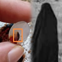 عقيق يماني • شجري • ناصرية