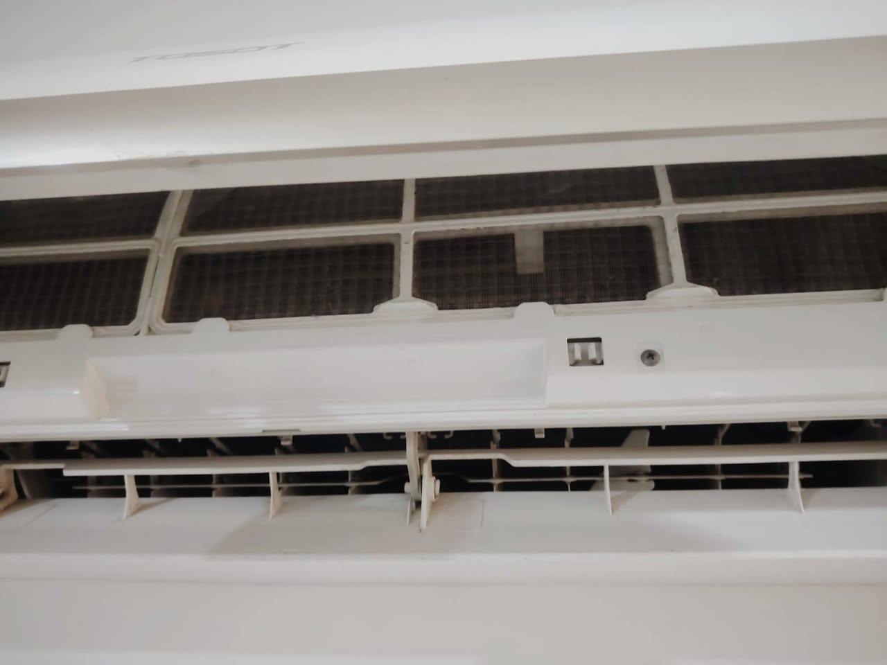 السلام عليكم سبلت توسوت لورد الاصلي 2طن نظيف جدآ السعر خاص  العنوان كوت خاجيه


**إذا كنت صاحب هذا الإعلان وتريد حذفه لأي سبب، رجاءا أرسل رسالة إلى الدعم الفني**