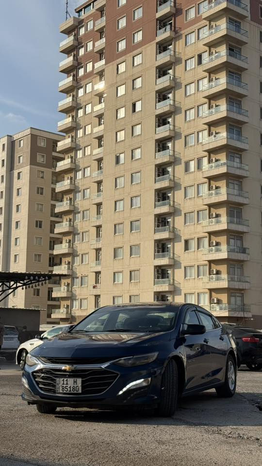 ماليبو 2019  رقم بغداد حرة باسمي هزة جديدة رقم جديد تحويل ثاني يوم  
حادث السيارة 
* قطعة وحدة صبغ فقط جاملغ ايسر بدون دواخل 
*السيارة عليها ادامة كاملة ( فيت بم وكالة جي ام ،بلكات نوزلات تخم تاير تخم دسكات باتري دهن وفلاتر  كلة جديد ) نقصها ترتيبات بالصدر 
عنوان السيارة بغداد /زيونه 
السعر : 112 $ قابل للتفاوض 
للتواصل : ***********
