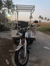 ستوتة • ام الطير • بعقوبة