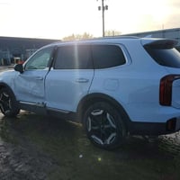 تيلورايد • ٢٠٢٤ • مزاد ٢٥/٣