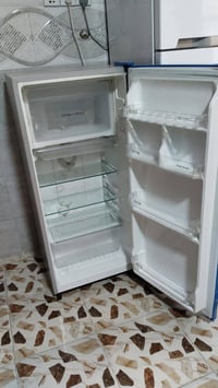 ثلاجات • مراوس كبيرة • ابو خستاوي
