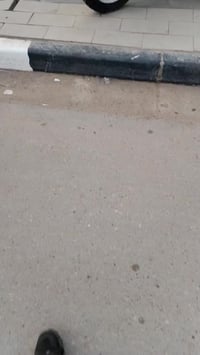 ستوته • بني منصور • سعر خاص