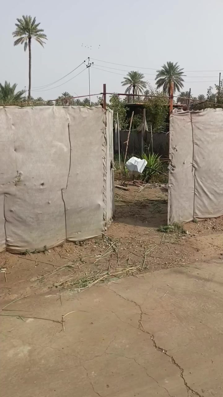 الاتصال ***********
