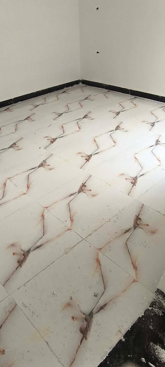 خلفه سيراميك وارضيات وتغليف وجهات حجرومرمروفوم وشغل درجه اوله وللتواصل على لخاص ولاتصال على رقم ***********ديوانيه مركز ملاحضه ضغيره ليعنده واجه مغلفه حجرويريدواحديجليه يدلل
