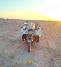 ستوته • نظيفة • أوراق كاملة