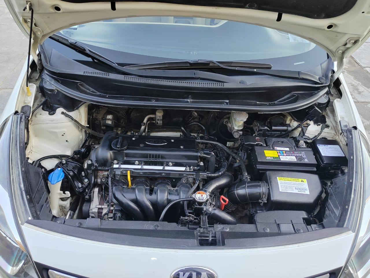 اللهم صل على محمد وال محمد كيه ريو موديل ٢٠١٤ خليجي الشركه العامه للسيارات رقم ذي قار حره سنويه جديده بسمنه سياره جديده بمعنى الكلمة إستخدام شخصي ماشيه ١٥٠ الف مكفوله كفاله عامه من الضربه والتبديل والصبغ والفتح والبارد والك الفحص وين مايعجبك مكينه وكير مامفتوحات على الشركه حداديه لوك تبريد ثلج تخم تاير جديد فول كهربائيات مواصفات حلوه مكينه ١٦٠٠ دوش مرايات شفط شغاله ٥ ويل كب سبيره مانازل كيج حماوه شاشه كامير فول تحكم استيرن شغال لد امامي بلاجكتور اشاره بلمرايه ارضيه مغلفه جلد السعر ١٠٥ بس اليدور جديد ولوك يتصل *********** مكان السياره الناصريه الشموخ
