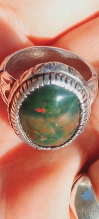 قنداش يماني • قديم • البلديات