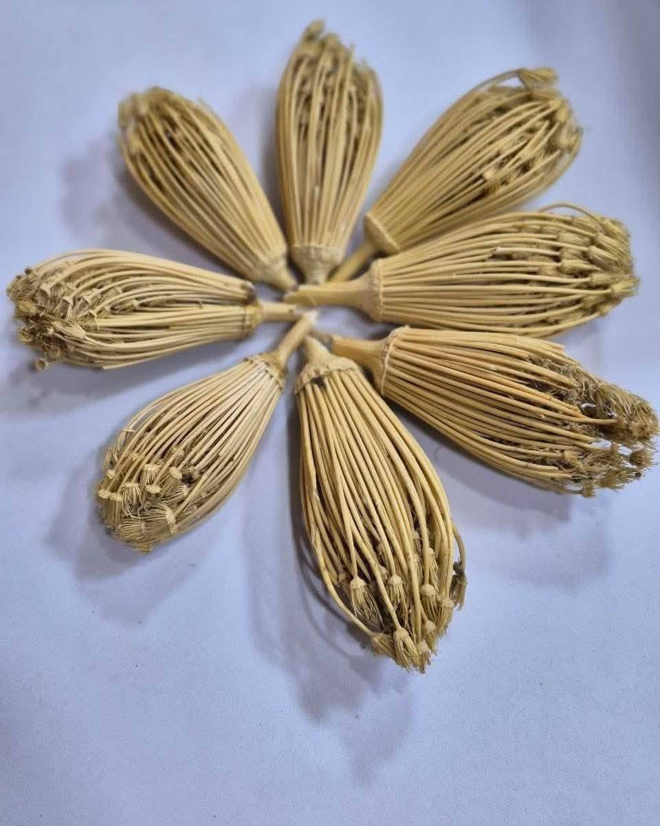 🌱 نبات خلال الاسنان 

🌿 فوائد خلال الأسنان الطبيعي 🌿

✍️ التخلّل بعد الطعام ليس مجرد عادة، بل هو سُنّة نظافة أكّدتها أحاديث محمد وآلـﷺـه، لما له من أثر مباشر على صحة الفم والأسنان.

✨ فوائد الخلال كما تشير إليها الأحاديث:

▪️ تنقية الفم من بقايا الطعام
«المتخلّلون من الطعام» → أي إزالة ما يبقى بين الأسنان

▪️ الوقاية من الروائح الكريهة
فإن بقاء الطعام في الأسنان يُفسد الفم ويؤذي صاحبه

▪️ تقوية اللثة والأسنان
التخلّل المنتظم يحافظ على صحة الأضراس ويمنع التراكمات الضارة

▪️ جزء من النظافة والإيمان
«تخللوا فإنه من النظافة، والنظافة من الإيمان»

▪️ سُنّة مؤكدة في العناية بالفم
«نزل عليّ جبرئيل بالسواك والخلال والحجامة»

📦 الوزن: 25 غم
💰 السعر1250 دينار


**إذا كنت صاحب هذا الإعلان وتريد حذفه لأي سبب، رجاءا أرسل رسالة إلى الدعم الفني**