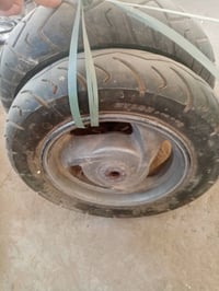 تايرات دراجة • دولفين • بابل القاسم