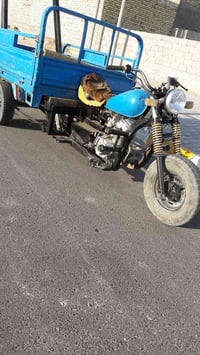 ستوته • جاهزه • مجال