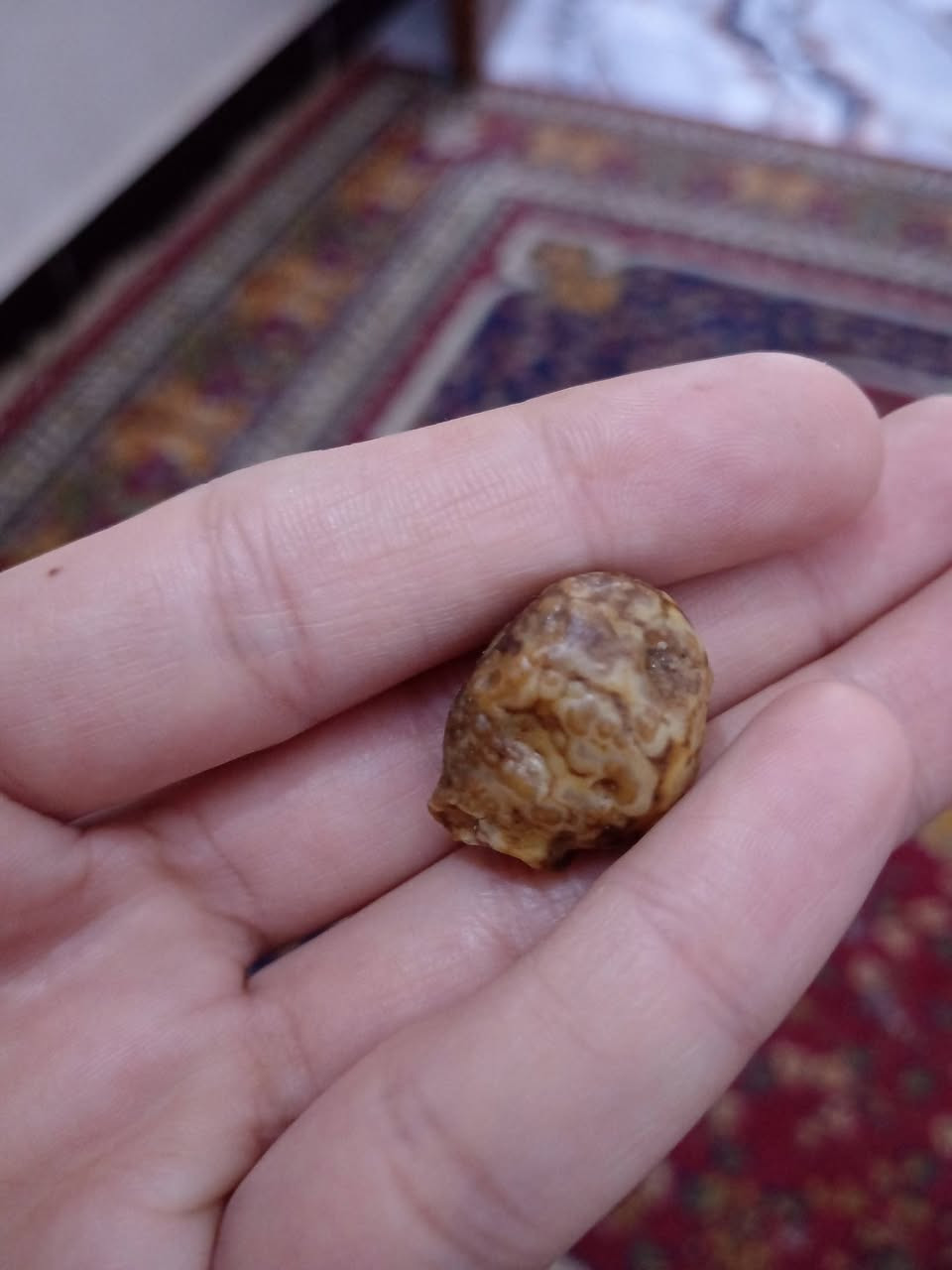 زوعه مكاني بغداد المشتل
السعر مناسب


**إذا كنت صاحب هذا الإعلان وتريد حذفه لأي سبب، رجاءا أرسل رسالة إلى الدعم الفني**