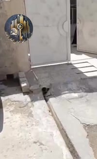 دار للإيجار • حي صدام • ١٠٠م