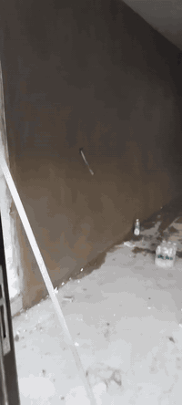 السلام عليكم
لباخ سمنت لط جراره سقل تصفير 
جص بورك 
شغل نضيف والتزام بالعمل
اتصل او واتساب ***********
بغداد الكرخ 
متفرغ حالياا
