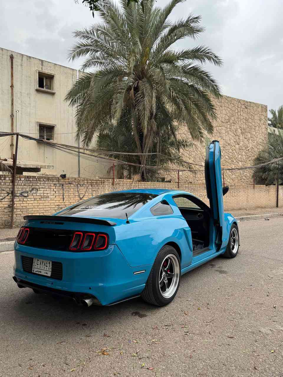 سلام عليكم شباب 
فور موستنك 2014اصل  (3700) v6 🔥
وسياره معروفه بلمنصور ومميزة ومصروف عليه كومه 
سياره عليه تزويد دخل وخارج 
📍شوته مال GT بجم جيتي 
📍برمجه بك فاير طلقات 
📍باب تعليك جكات 
📍دخل لد بحري بلون داخل
📍مكينه وكير كفاله 
شواصي لغود مابيه ولا يرباك 
📍تدفئه  تبريد 🥶 كله شغال 
📍حدث السياره جاملغ فقط 👍🏻
📍سياره رقم بغداد مشروع وطني 
📍تايرات جديده قبل فتره شديتهن له 
📍حداديه جديدة خلفي امامي 
📍ترايك دهوك وشرط تمشي 260 واني بصفك
📍سياره تغير لون جماليه فقط فقط  
📍اكسل كفاله 
📍سياره حفله 🎉
📍تخذه ربع دينار ما تصرف عليه 
(تحويل ثاني يوم  ) 👍🏻 
مكان السياره بغداد الاعضميه  
متواجد +واتساب +مازنجر+هاتف 
*********** 
سعر 💸السياره (87) وبيه مجال حك الجيه بس
