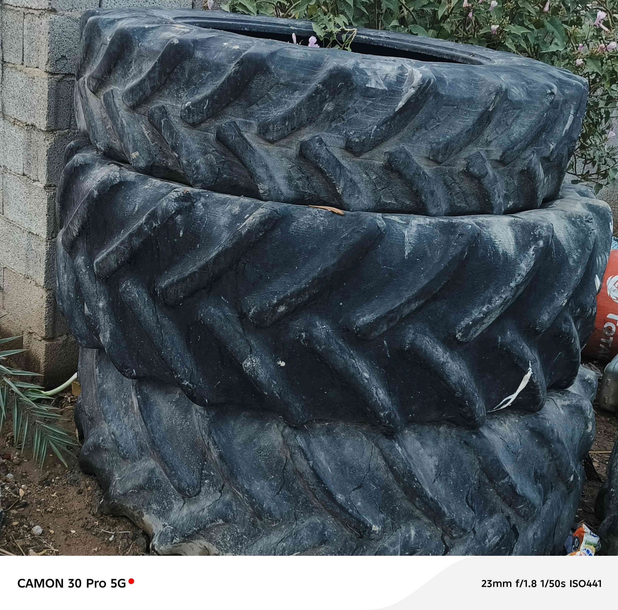 فورگس النگليزي 75 رقام سنويه بدون تحويل تايرات فيات160+فيات38 /***********. *********** ميسان /كحلاء
