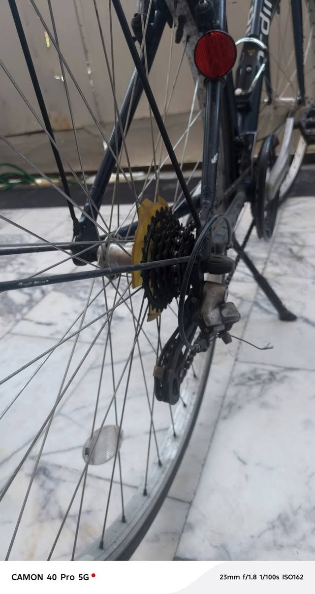 سلام عليكم شلونكم شباب بايسكل ترحال المنيوم ماركت برجيستون ارديلو كير ابو فر  ياباني وكشن طبي  شيمانو خلفي 7 نمر عكرب  ضراع بايدر شيمانو تايرات برجيستون
العنوان بغداد مدينه الصدر
الرقم  *********** سعر 190وبي مجال
