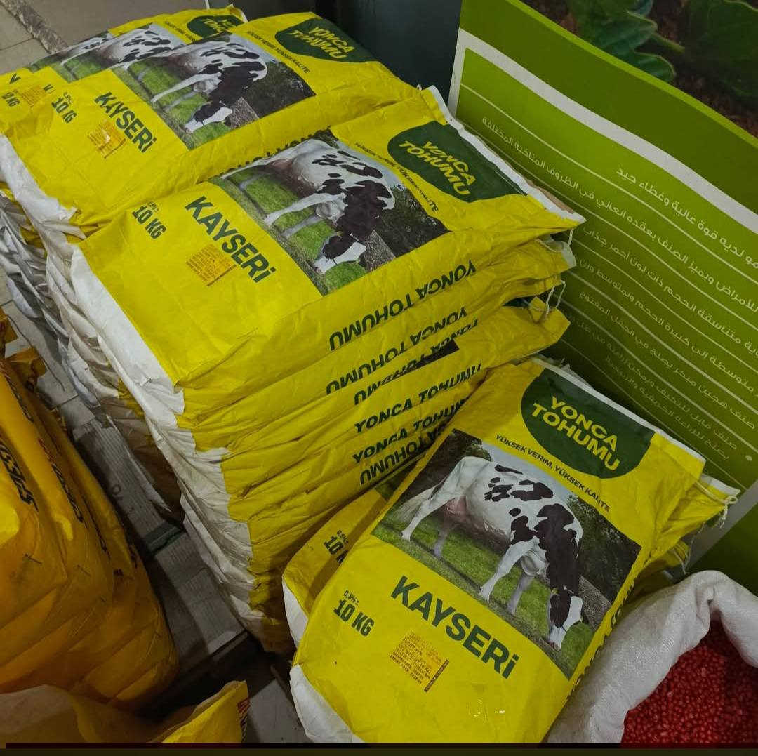 بذور جت تركيه عاليه الجوده درجه اولى تدوم لاكثر من 4 سنوات ارتفاع جيد يصل إلى 70 سنتم المغلف 10 كيلو
السعر 80 الف ... توصيل 5 الف جميع المحافظات الاستفسار ***********
