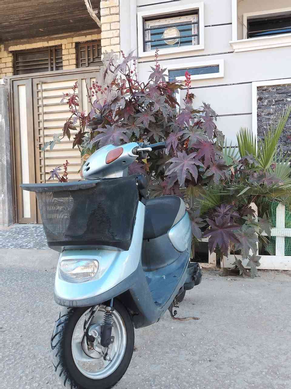 سلام عليكم دراجه منغولي خطين دراجه كله بلاديه سلف هندر كهربائيات كله شغاله السعر 450 مكاني البوبيات للاستفسار ***********
