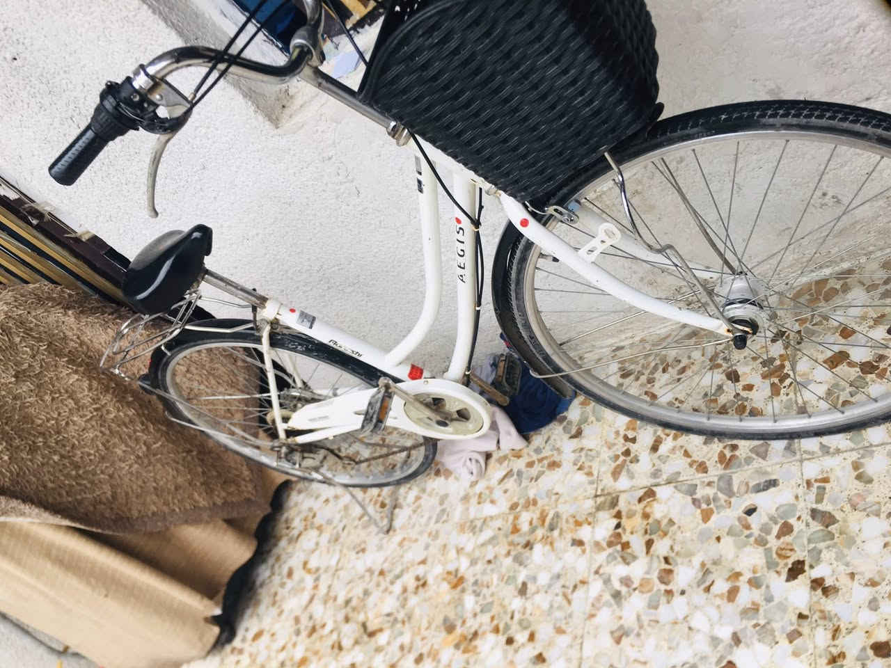 السلام عليكم للبيع بايسكل بناتي حجم 27 بايسكل اصلي مال باله عكرب 7نمر ويل حساس السعر 70 وبي مجال للطيبين  مكاني بغداد البلديات ***********بي واتساب
