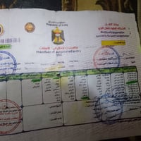 ماكس قچمه • ١٢٠ • كهربائيات