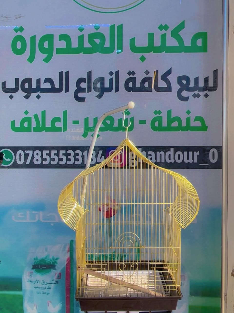 قفص قلب ذهبي درجه اولى 
 مكتب الغندورة لتجهيزات الحيوانات 
العنوان دجيل شارع البلديه مجاور بلديه 
***********
#العراق #مشاهير #بغداد
