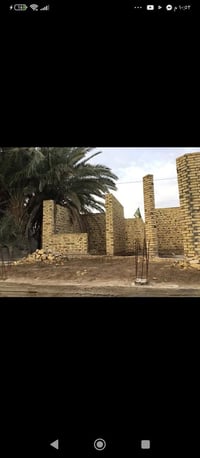 هيكل زراعي • صوب بني ركاب • ٢٠٠م