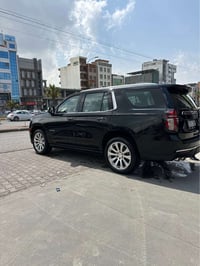 تاهو بريمر • ٢٠٢١ • بدون صيغ