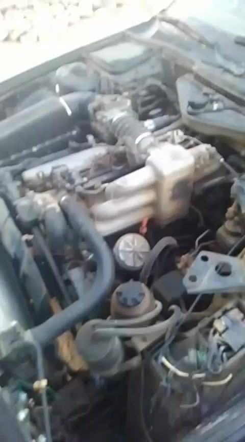 بي ام للبيع 730 رقم بابل مديل 89 سياره يرادلها صبغ دواخل جلد 

كير ومكينه انضاف ستوني مبدل منظومه بانزين بخاخات بلكات فيت بم طوافه مروحه راديتر حلوه مكان نجف سعرها 30 

***********
