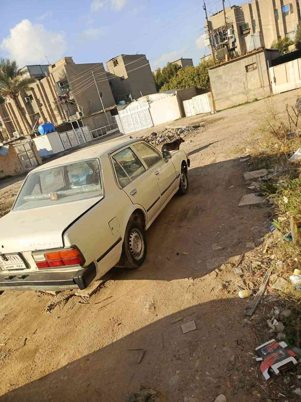 وينهم محبين الكلاسيك والياباني القديم  تيوتا كرونا جيل الطيبين وكير ومحرك اوتماتيك المرغوب وصناعة ياباني وعدك الحساب تبقة عمر وياك كير ومحرك شرط نضيفات وكشرها كدامك بلادي كلشي محاط علية رقم الماني كركوك اخذتها من ولد ابغداد عدة وكالة بيها تجي تأخذ من عدي مكاتبة اتكفلك كلشي بيها  وسنوية عضم عاج واطيك رقم ابو الوكالة هم سيارة كلها بلادية وشغالة وكاملة تنكر سويج وتطلع وين مايعجبك محافضات ترايك إذا يعجبك تخم تاير نضيف جواها مدوشمة جديد بعدها بجيسها كهربائيات شغالة كل هذا الحجي وعارضها بسعر دراجة بس ب((  13  )) ورقة  ومكاني بغداد الزعفرانية وهذا رقمي وموجود واتساب همينة إذا ماعدك رصيد وخادم للناس الي تجيني من مكان بعيد ***********
