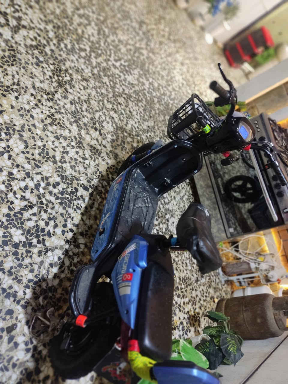 اسلام عليكم  دراجه شحن حجم  14 دراجه  حلوه و نضيف  مكفوله من بطاريات  و عقل جيبلك واحد و فحصه 3 سرع تايرات جدد سويجات 2 و بصمات 2قفل تاير  الوره  كدامك شوفه الدراجه نضيفه  السعر 200 قفل  مكاني بغداد  حي الجهاد   الريد يشتريه يطبلي خاص


**إذا كنت صاحب هذا الإعلان وتريد حذفه لأي سبب، رجاءا أرسل رسالة إلى الدعم الفني**