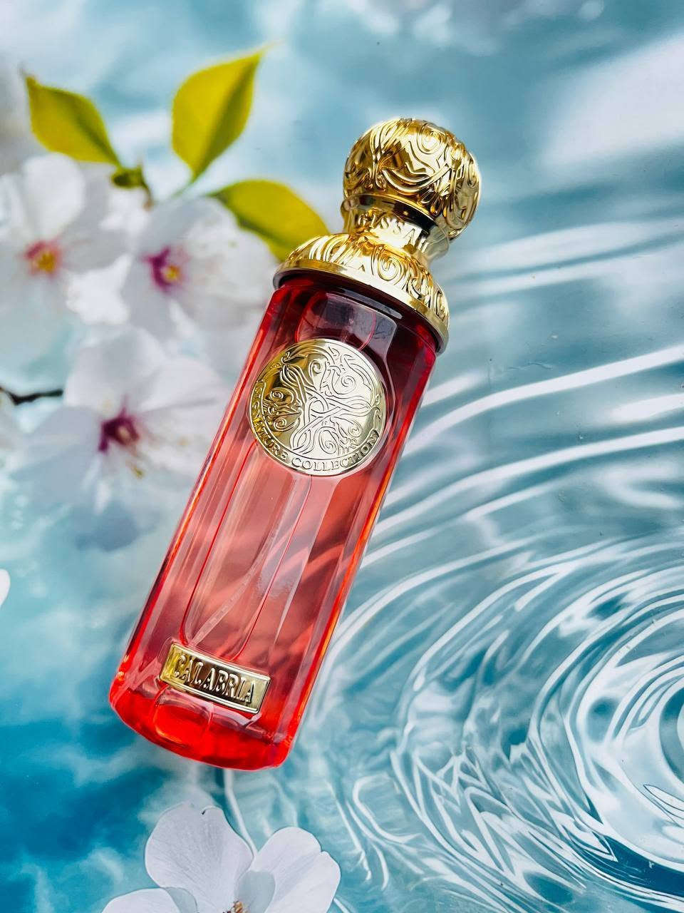 عطر قصه -🩷🥹 

 عطر قصة  , عطر جذاب ثابت و جميل 🩷
متوفر🩷 عطر قصه🩵
 استعد للانغماس في عالم الأناقة والجمال مع عطر قصة،               🌹
✨ و يعتبر عطر قصة تحفة فنية تجمع بين المكونات الطبيعية والعطرية الفريدة،
مما يجعله عطرًا استثنائيًا يستحق الاقتناء. .🛍️💎

✅كيف ريحة عطر قصه؟

✨بتركيبة مميزة من أجمل الروائح العطرية نقدم لك عطر قصة  لإستكمال إطلالتك المميزة؛🪽🌬️ ❤️

الحجم :: 250 مل 

توصيل جميع المحافظات العراق 🇮🇶

للاستفسار خاص 

#عطر #قصة #الاصلي #ثبات #فوحان #ترند #لايك #متابعة #اضافه #خدمة_توصيل @إشارة


**إذا كنت صاحب هذا الإعلان وتريد حذفه لأي سبب، رجاءا أرسل رسالة إلى الدعم الفني**