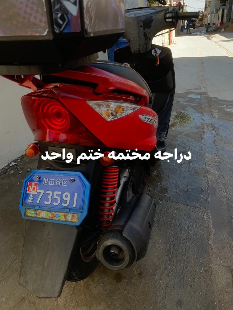 ماكس ثعلب للبيع
