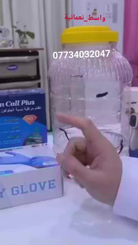 العلق الطبي • حجامة • النعمانية