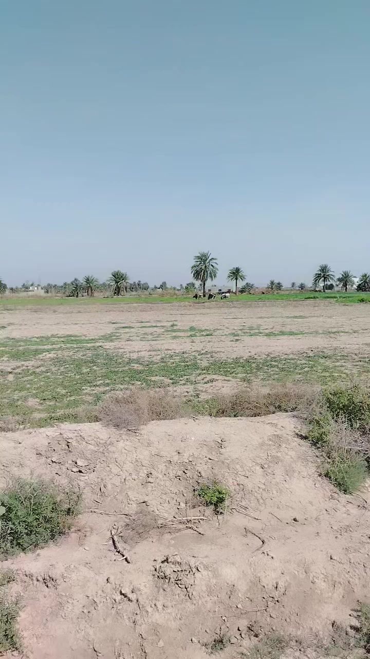 دونم واجه ٥٠ ونزال ٥٠ مقابل موكب شريفه سند ٢٥ بسعر ١٨ وبي مجال ***********
