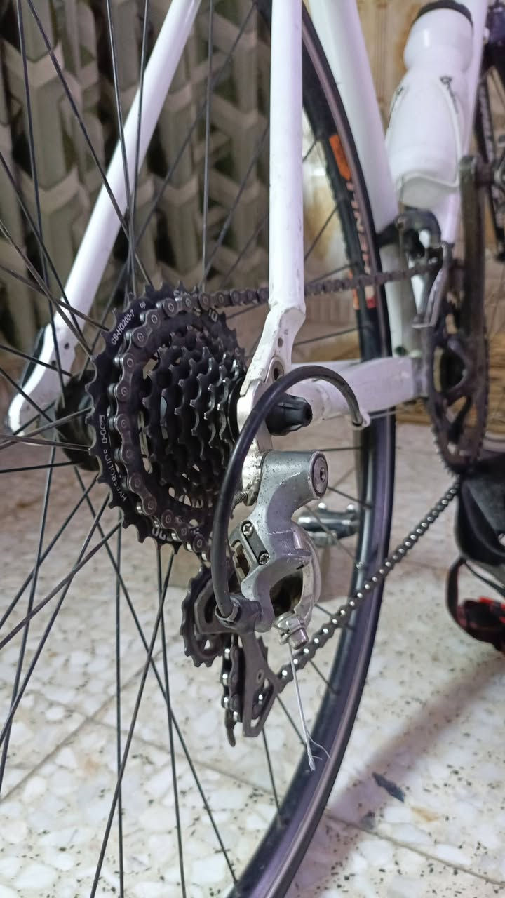 *🚴 للبيع بايسكل رود سباق نظيف جداً 🚴*

*الماركة:* JUSin – ماركة معروفة وعملية  
*اللون:* أبيض ثلجي × أسود سبورت  
*الحالة:* مستعمل نظيف، بحالة الوكالة ما متعوب، جاهز للركوب فوراً

*المواصفات
- *البدي:* ألمنيوم خفيف وقوي  
- *الماشة:* ألمنيوم خفيفه تحمل وزن 
- *الكير:* شيمانو Shimano رود 2×8 سرعات    
- *الشفترات:* رود ستيرن كور – تحكم سريع  
- *البريكات:* كليبر أمامي خلفي قوية ومضبوطة  
- *الويل:* قياس 700C مال سباق، تايرات نظيفة  
- *الملحقات:* يجي وياه مطارة مي أصلية  
و خوذة اصليه 

*المميزات:*  
✅ خفيف بالشيل وبالركوب  
✅ مناسب للرياضة اليومية والمسافات المتوسطة  
✅ كلشي بيه بلادي ما مبدل بيه شي  

*سبب البيع:* التحديث لموديل أعلى

*السعر:* 300 ألف دينار عراقي وبيه مجال شراي يدخلي خاص ونتفق


**إذا كنت صاحب هذا الإعلان وتريد حذفه لأي سبب، رجاءا أرسل رسالة إلى الدعم الفني**