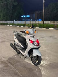 سكنس فحل • وارد كوري • زنون اصلي