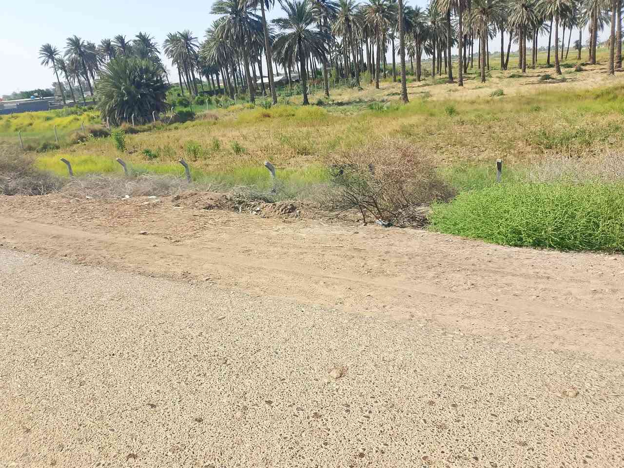 سلام عليكم يوجد أرض زراعيه البيع المساحة 5دونم العنوان كوت اليوسفيه للاستفسار  ***********
