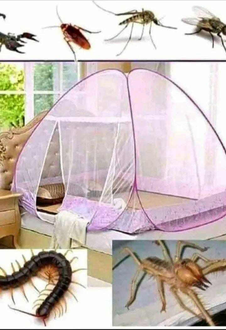 ⛺️خيمة ضد الناموس والحشرات🐝🐞🪰🪳🦟 
*خفيفة الوزن ، سهلة التركيب والجمع
ثمن جد مناسب🤩


**إذا كنت صاحب هذا الإعلان وتريد حذفه لأي سبب، رجاءا أرسل رسالة إلى الدعم الفني**