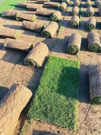 ثيل هندي وفرانسي معه التوصيل لطلب اتصل عله 07723484814