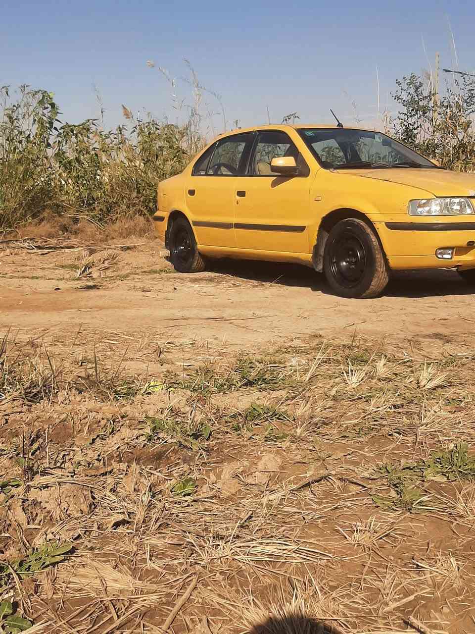 السلام عليكم سمندالبيع مديل ١١مصفره هيه غرامات جهزه مكينه وكير مكفولات رقم واسط  نكليزي بيع و مراس رقمي ***********السعر ٣٠وبيه مجال
