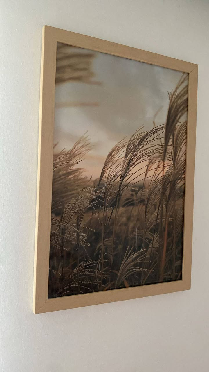 مرحبا أغراض للبيع كلهم نضيفات واستعمال قليل


**إذا كنت صاحب هذا الإعلان وتريد حذفه لأي سبب، رجاءا أرسل رسالة إلى الدعم الفني**