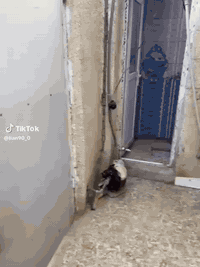 بيت للبيع بحي الزهراء مقابل المعهد ثاني فرع على شارع العام مساحة 85 متر بناء طابوق طابو صرف السعر 40 مليون وبي مجال/‏‪0772 573 7452‬‏
