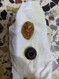 البيع بغداد 07710207512 هبهاب وعقد سان